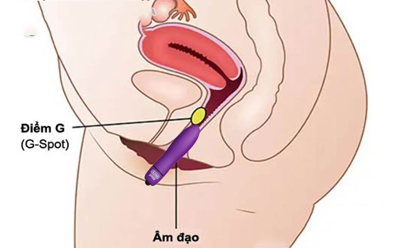 Sextoy trứng rung Durex S Vibe Molti chất liệu ABS an toàn